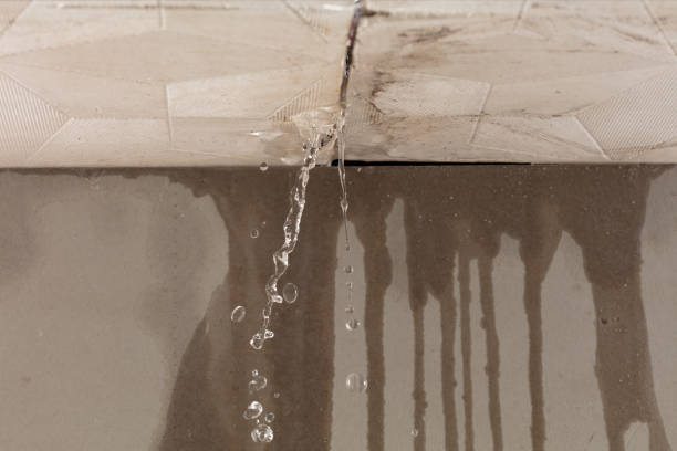 Professional Structural Drying technician working in North Fort Myers, FL